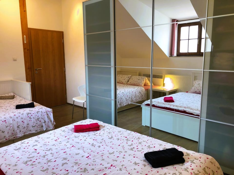 Apartman Masné krámy Třeboň Apartment in South Bohemian Region