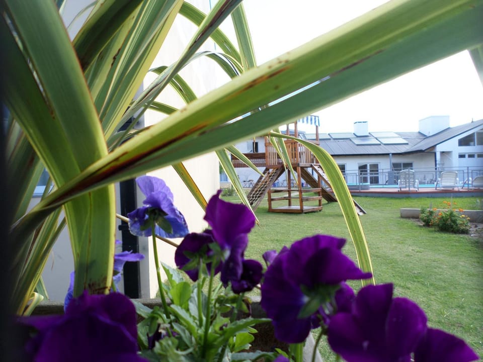 Property building, Day, Garden