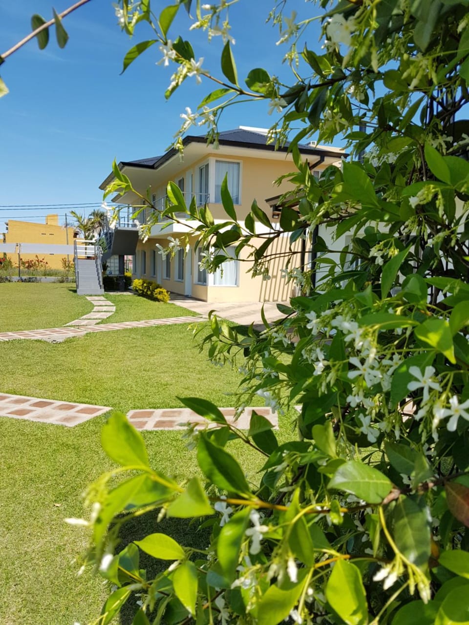 Property building, Day, Garden