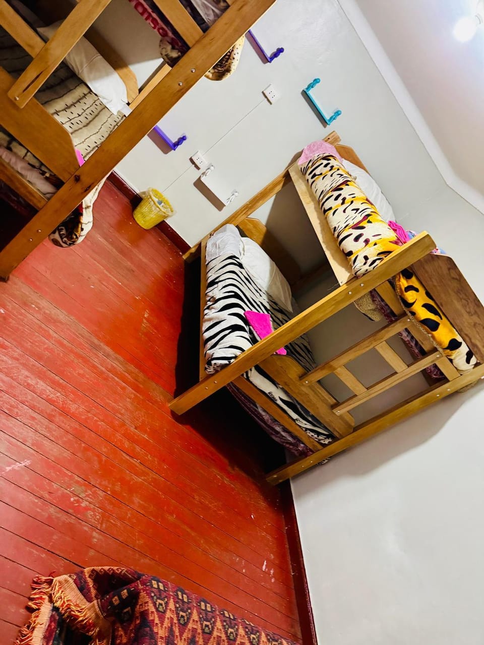 Ukumari Hostel Hostel in Cusco