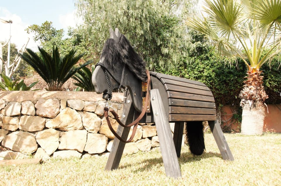 Children play ground, Garden, Horse-riding, Animals