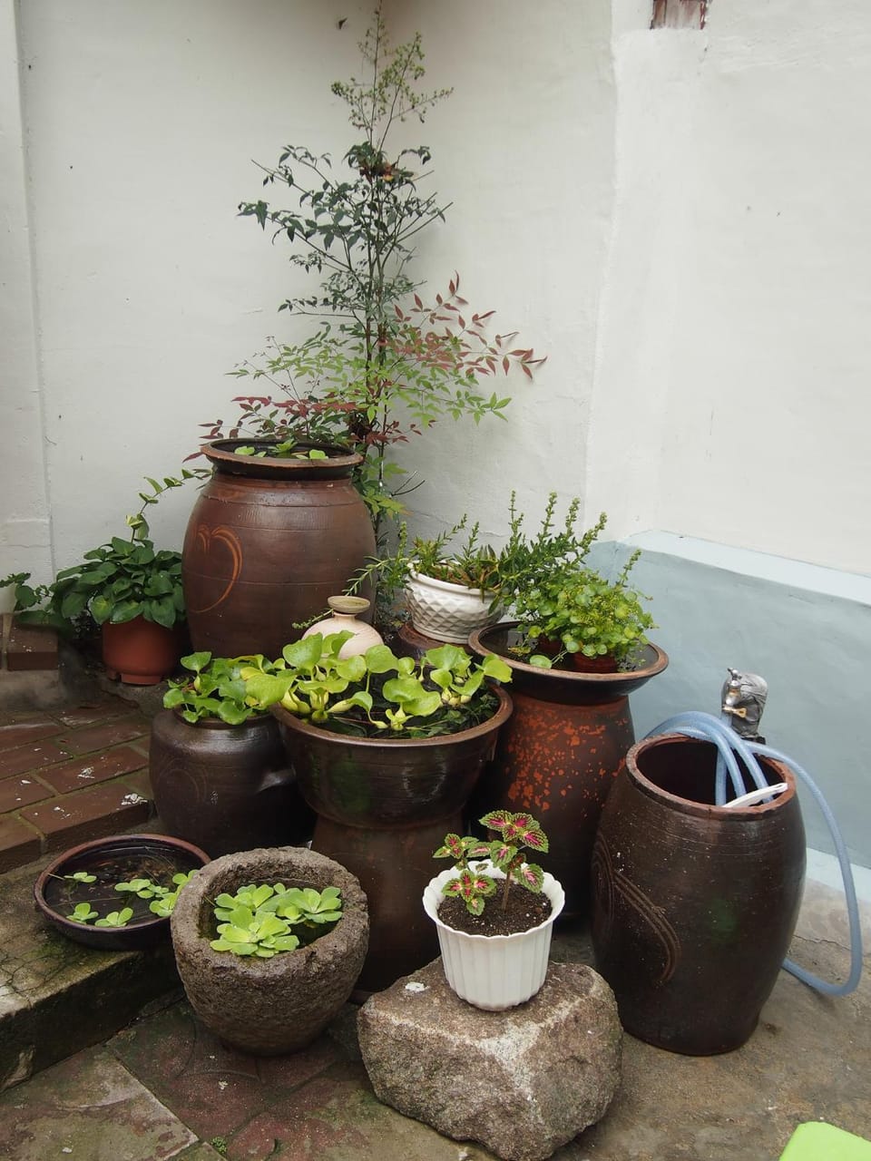 Property building, Garden
