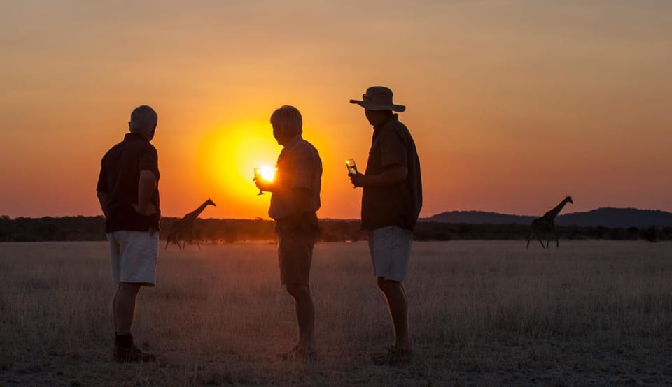 Staff, Spring, Off site, Activities, Activities, Winter, Summer, View (from property/room), Animals, Animals, Autumn, Food, Guests, Alcoholic drinks, Sunset, older children, group of guests, Family