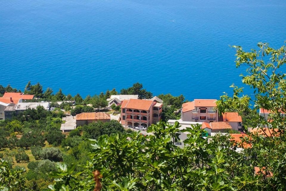 Neighbourhood, Bird's eye view
