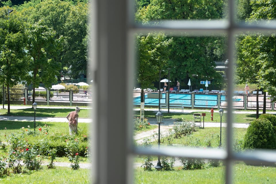 Garden, Pool view, Swimming pool