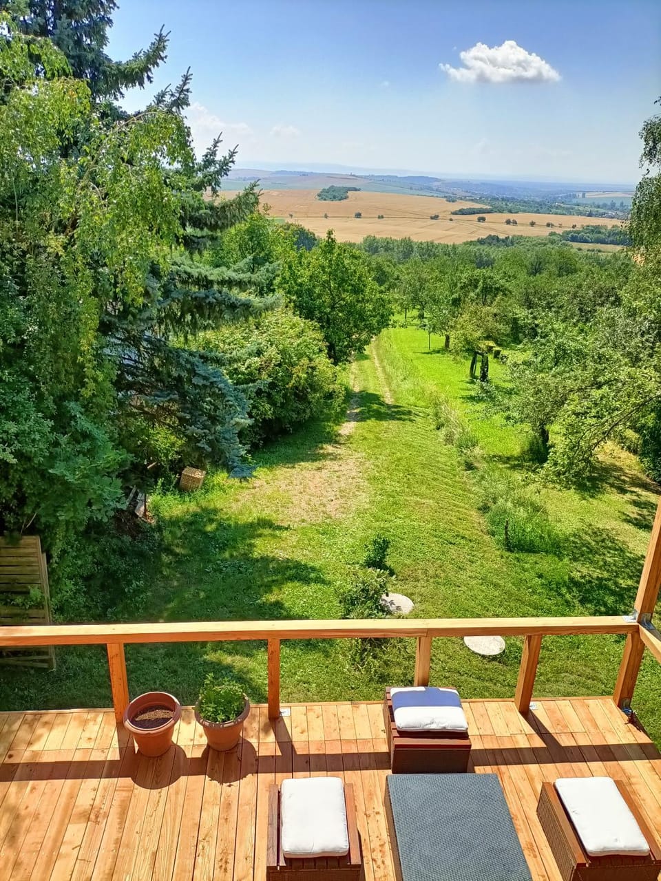 Balcony/Terrace, Garden view