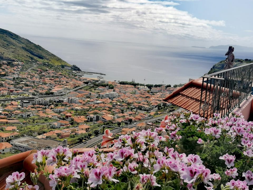Natural landscape, View (from property/room)