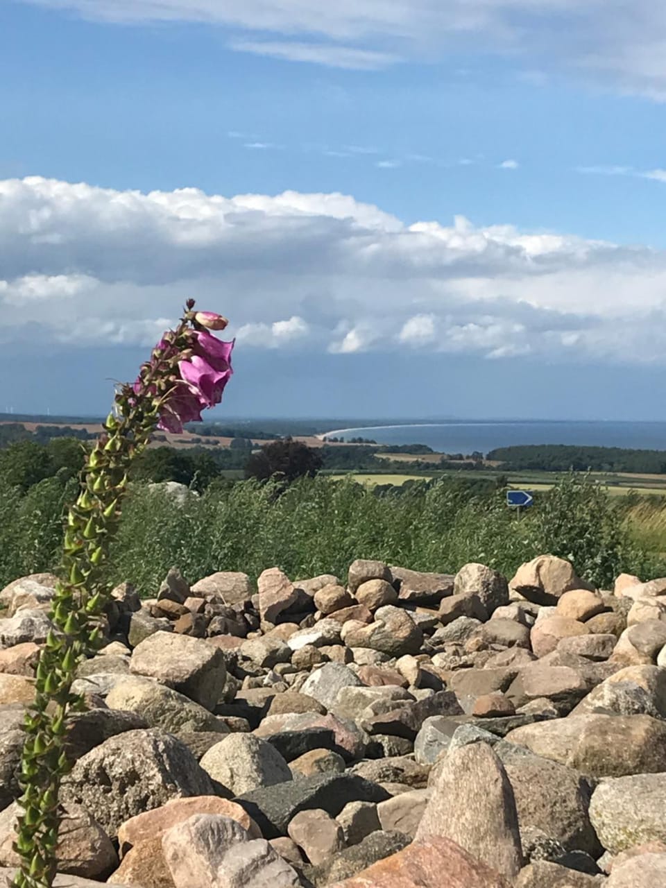 Sea view