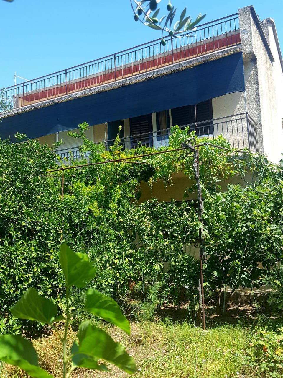 Apartments Vala Apartment in Murter