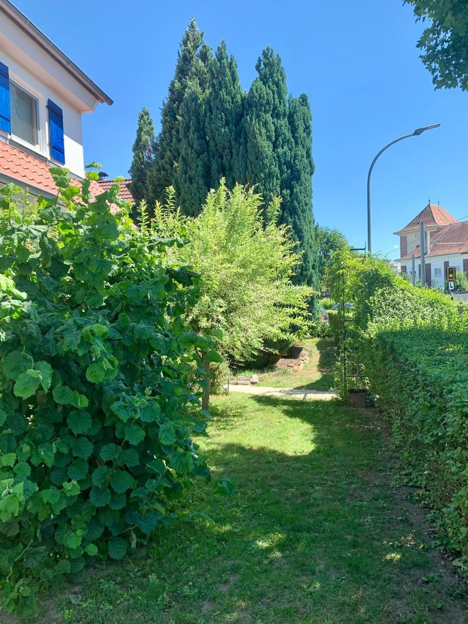 Garden view