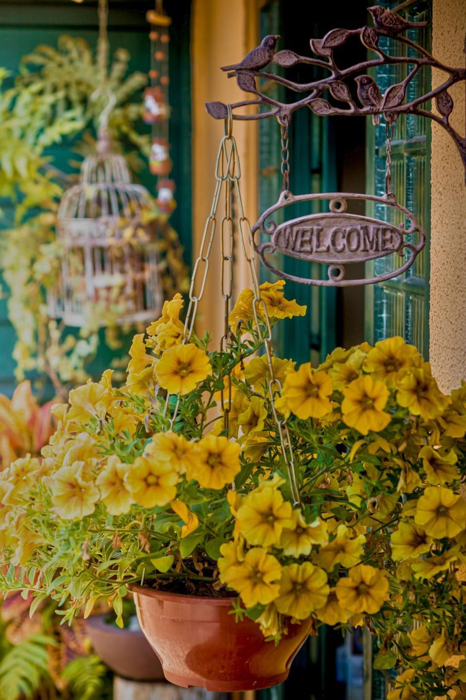 Facade/entrance, Garden