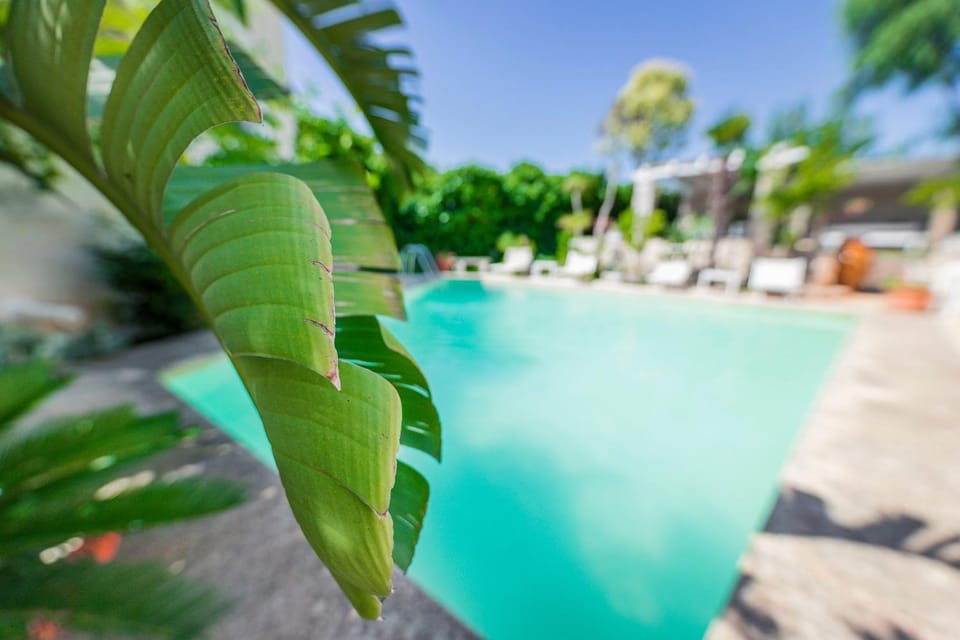 Day, Garden, Garden view, Pool view, Swimming pool, sunbed