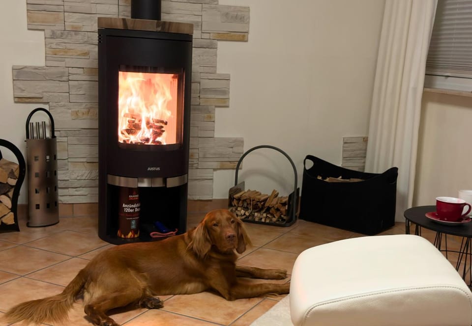 Pets, fireplace