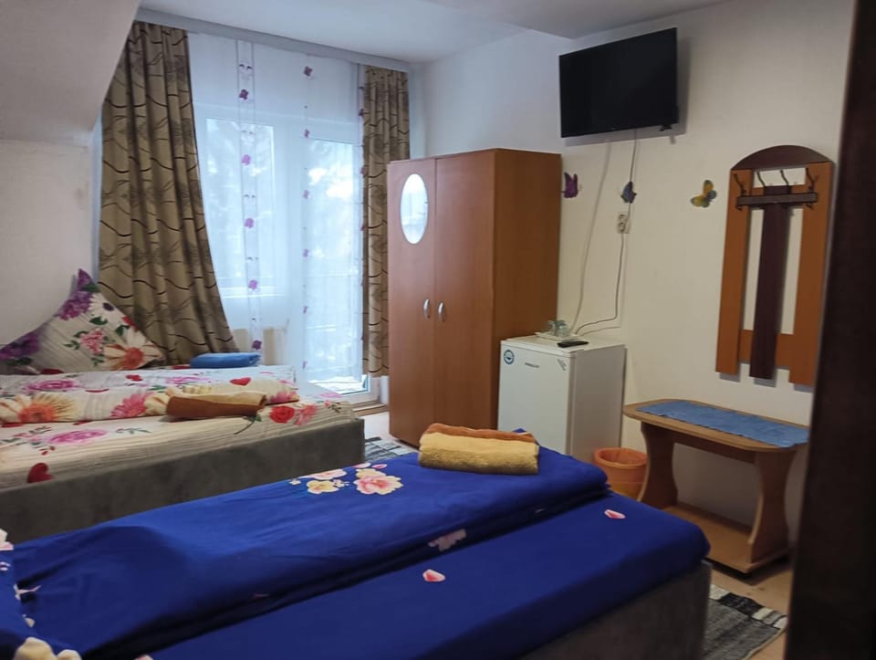 Casa Emilia Bed and Breakfast in Romania