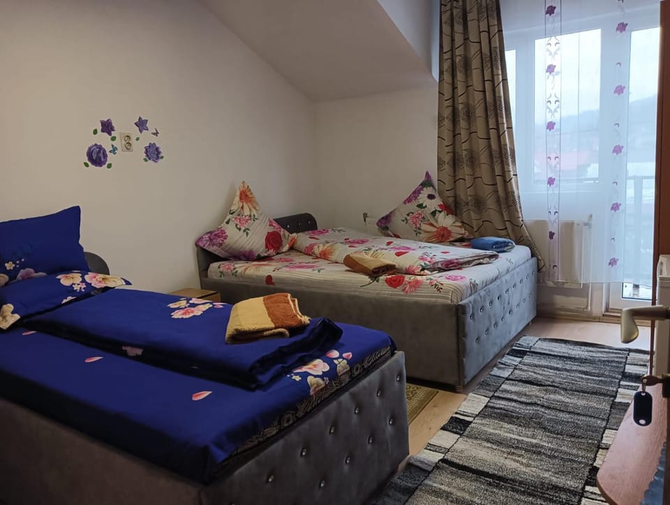 Casa Emilia Bed and Breakfast in Romania