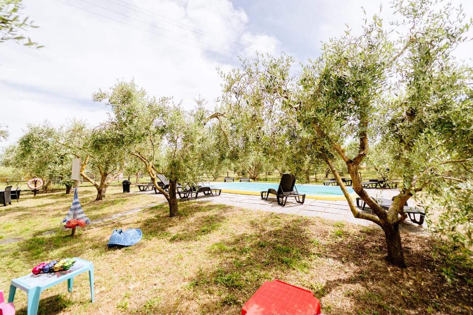 Garden, Swimming pool