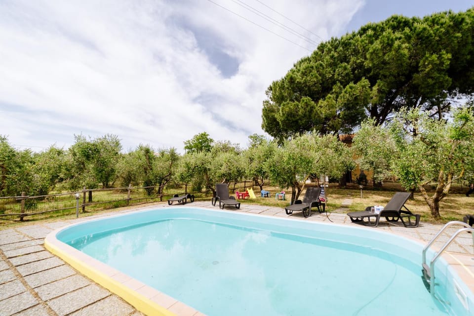 Swimming pool, sunbed