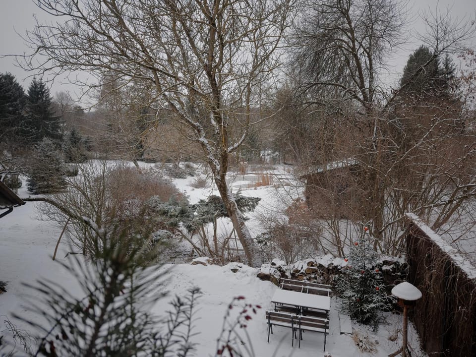 Natural landscape
