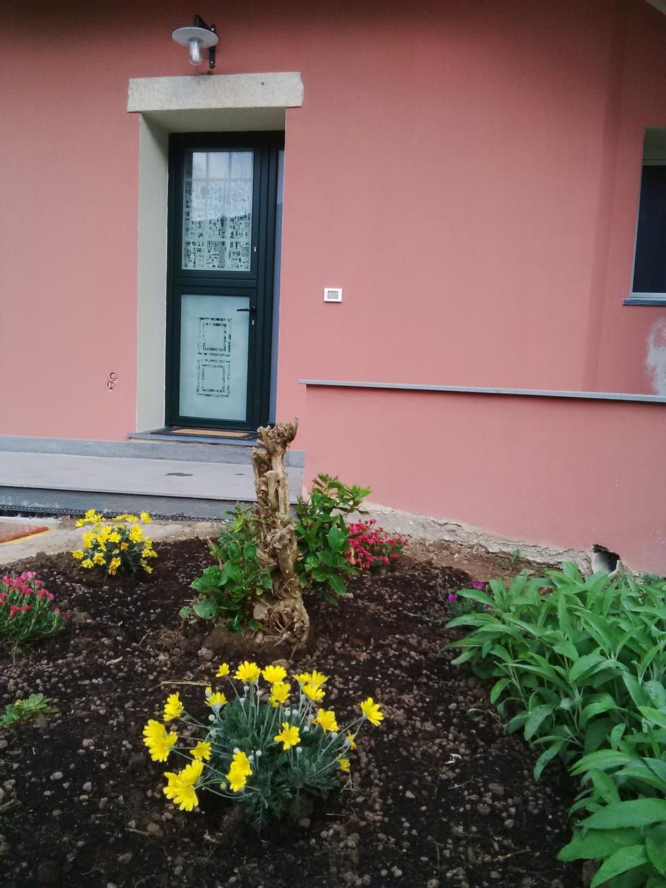 Facade/entrance, Spring