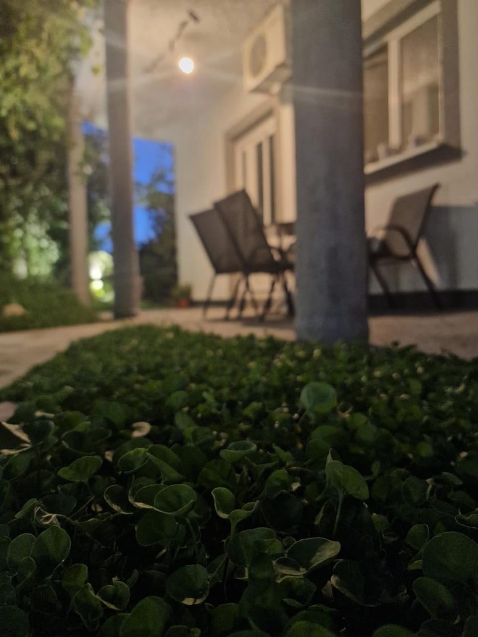 Property building, Patio, Night, Garden, Garden view