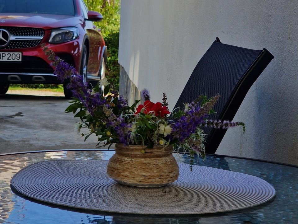 Day, Garden, Garden view, Parking