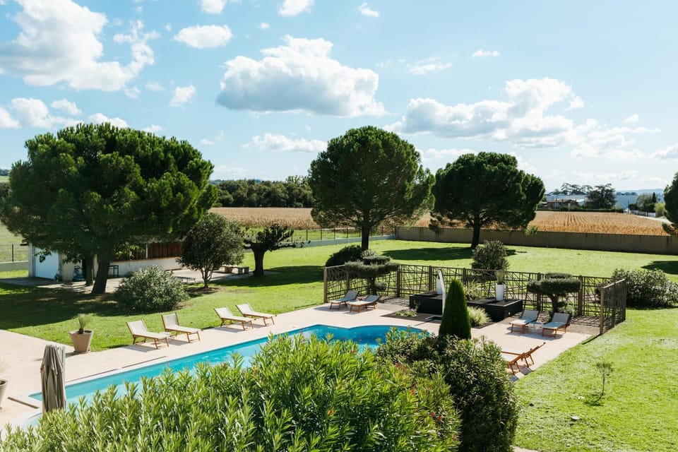 Spring, Day, Natural landscape, Garden, Garden, Garden view, Pool view, sunbed