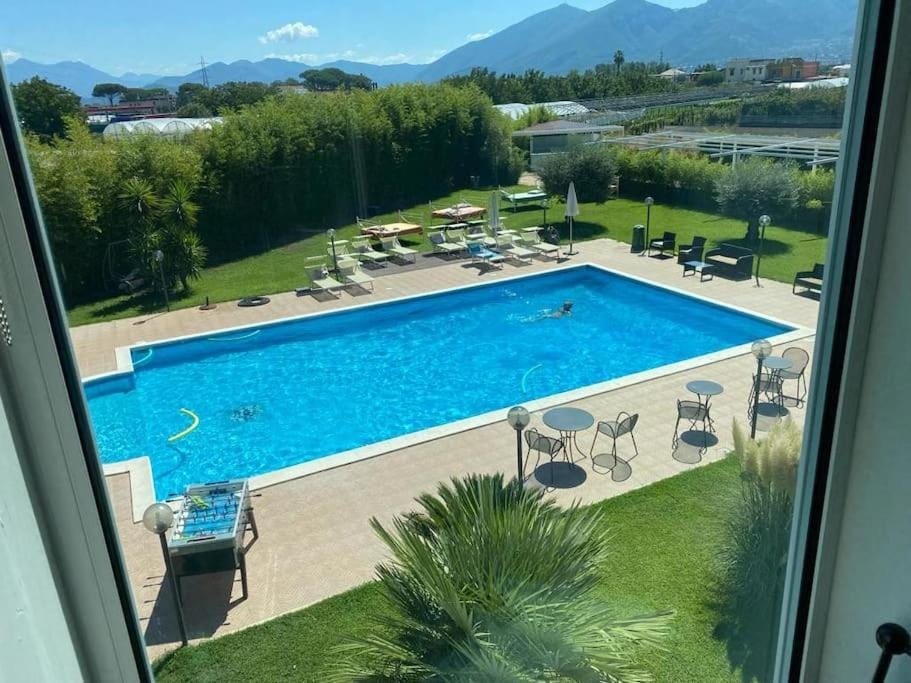 Spring, Natural landscape, Swimming pool