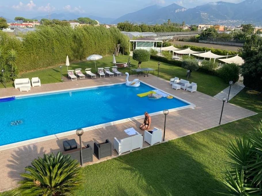 Natural landscape, Garden, Pool view