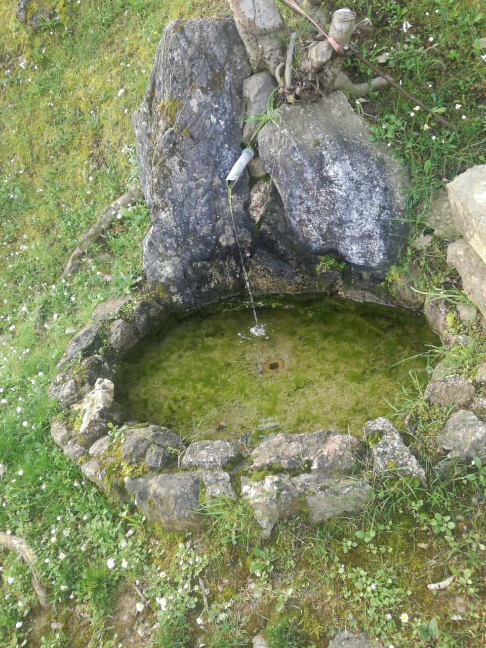 Villa Porto sul Magra Bed and Breakfast in Province of Massa and Carrara