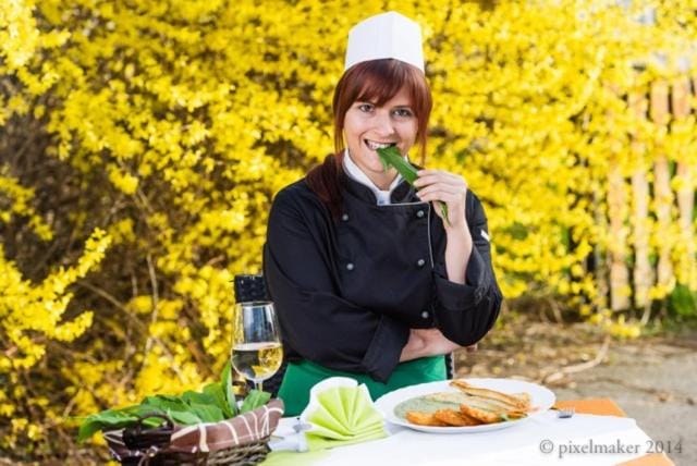 Gasthof Zum Lindenhof Hotel in Styria