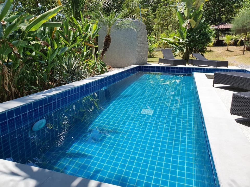 Swimming pool, Swimming pool