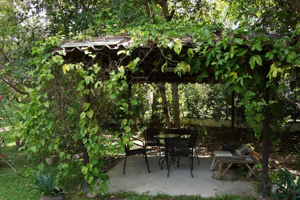 BBQ facilities, Garden