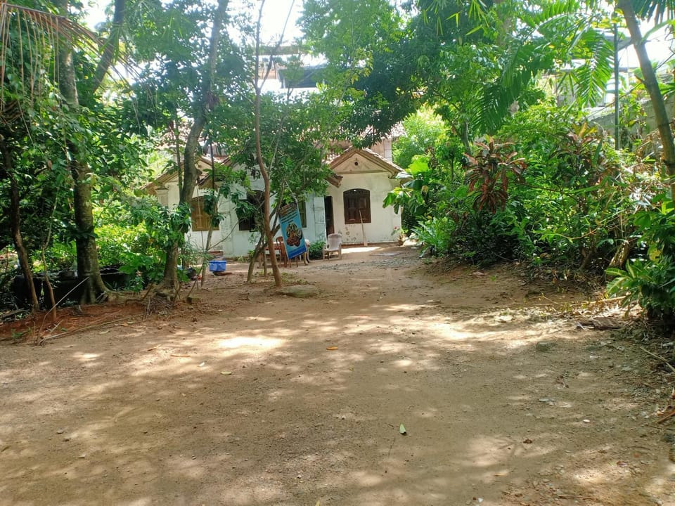 White House Bed and Breakfast in Main Road