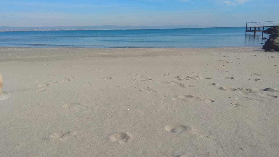 Grand Apartment Pomorie Apartment in Pomorie