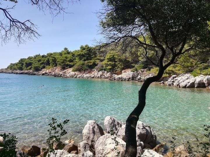 Natural landscape, Sea view