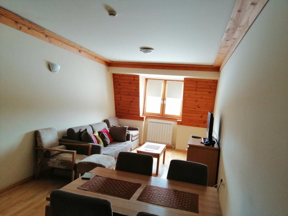 Apartman 205- Aparthotel Vučko Jahorina private host 50m2 Apartment in Federation of Bosnia and Herzegovina