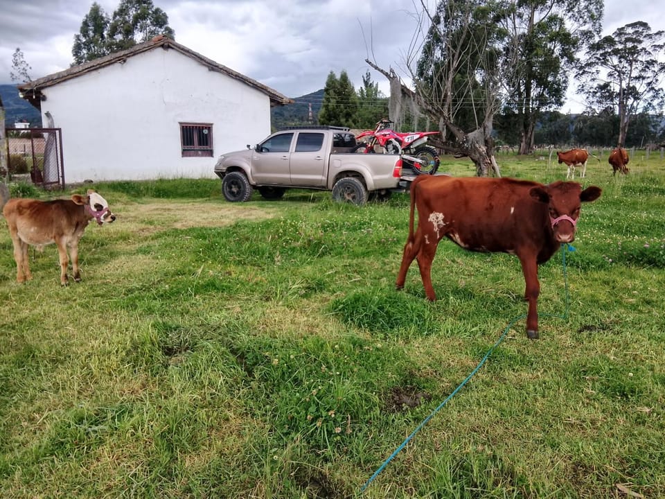 Posada Turistica Altamisal Inn in Boyaca