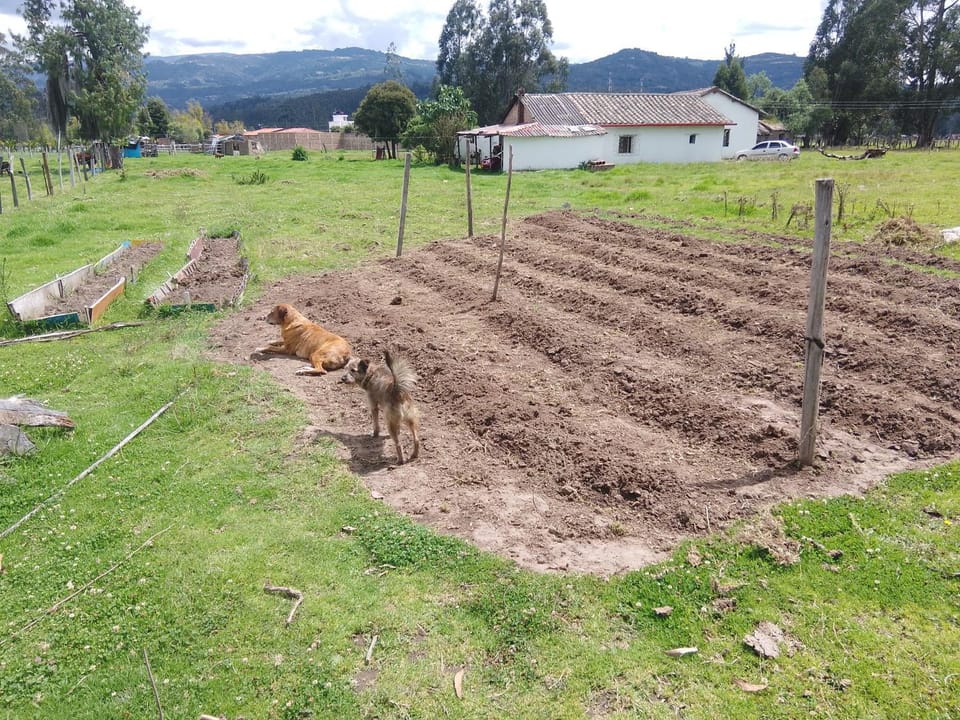 Posada Turistica Altamisal Inn in Boyaca