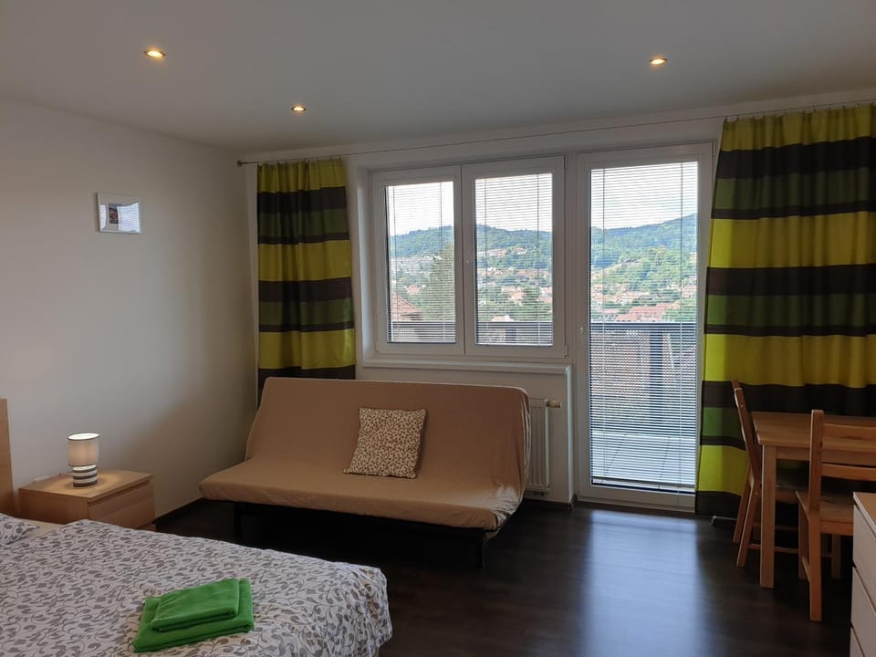 Living room, Photo of the whole room, Seating area
