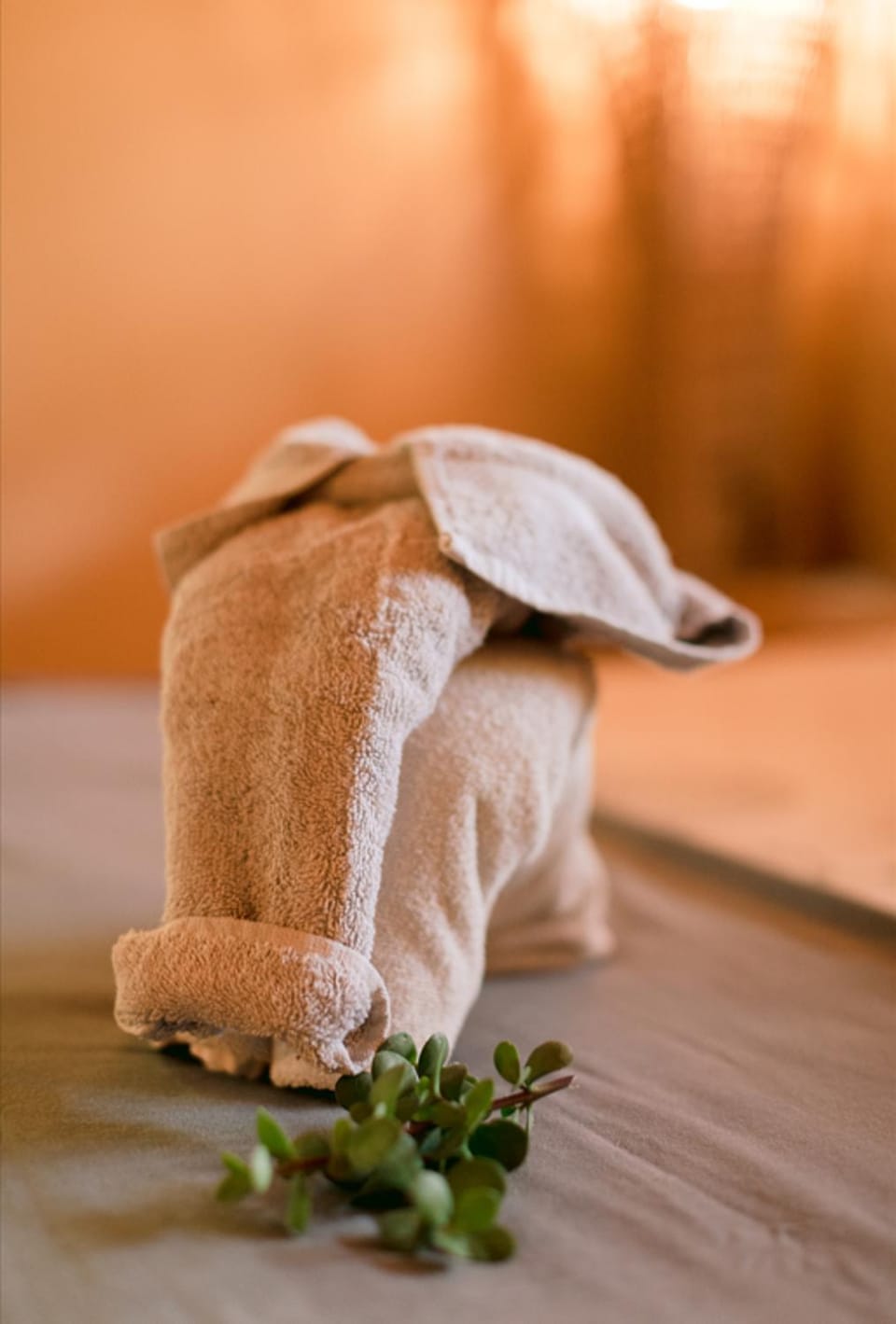 Bed, Decorative detail, Bedroom