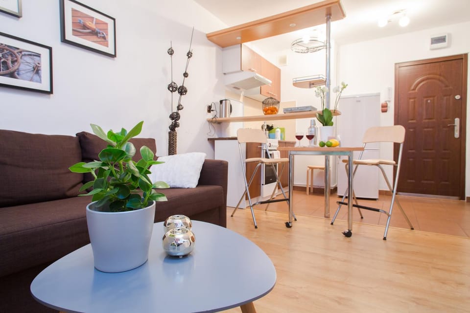 Bed, Kitchen or kitchenette, Living room, Photo of the whole room, Decorative detail, Seating area
