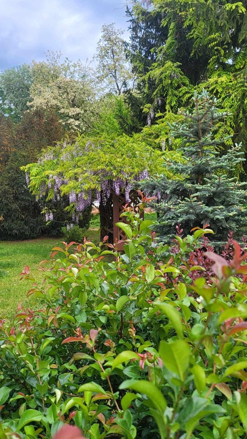 Gyömbér Tanya House in Vojvodina