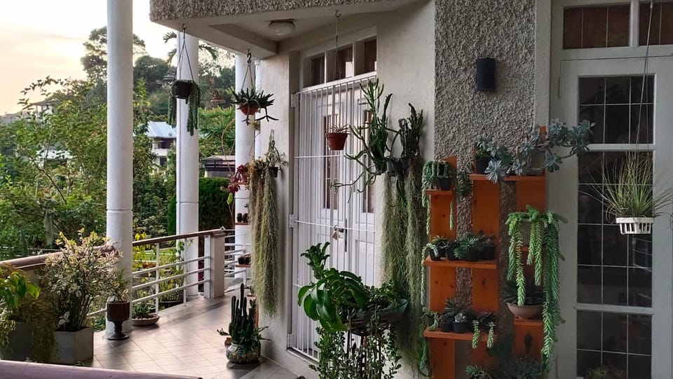 Property building, Facade/entrance, Balcony/Terrace