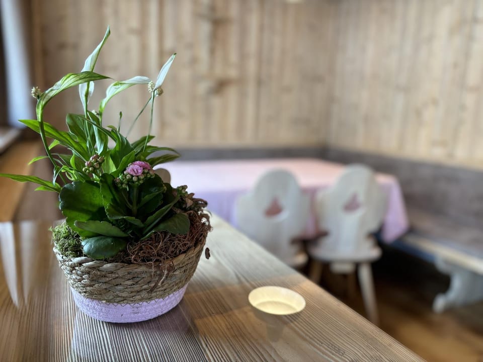 Dining area, Food