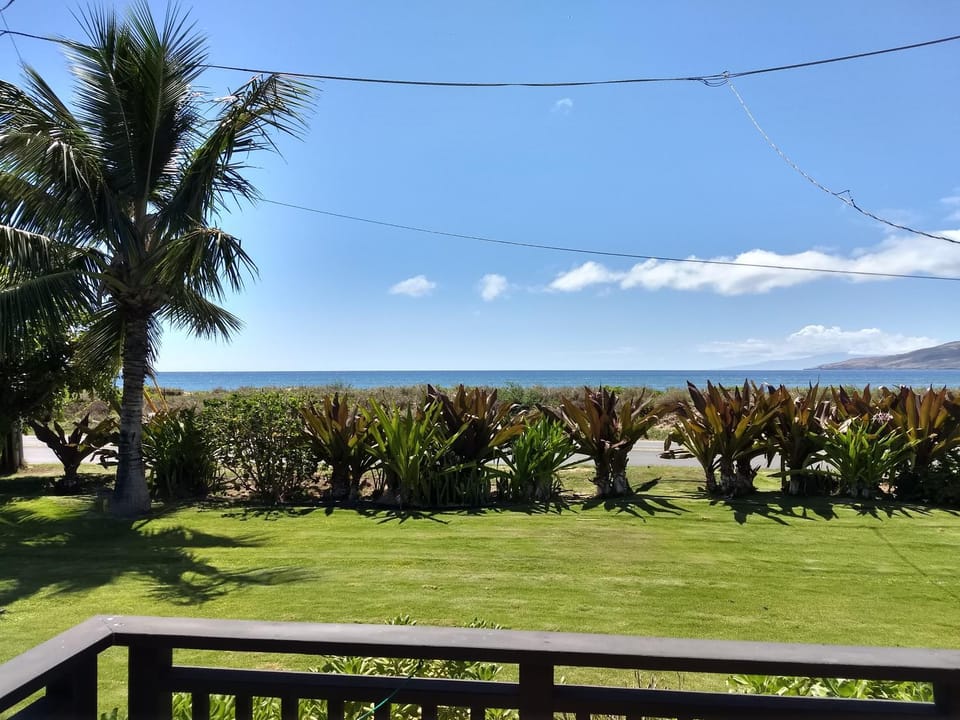 Sea view
