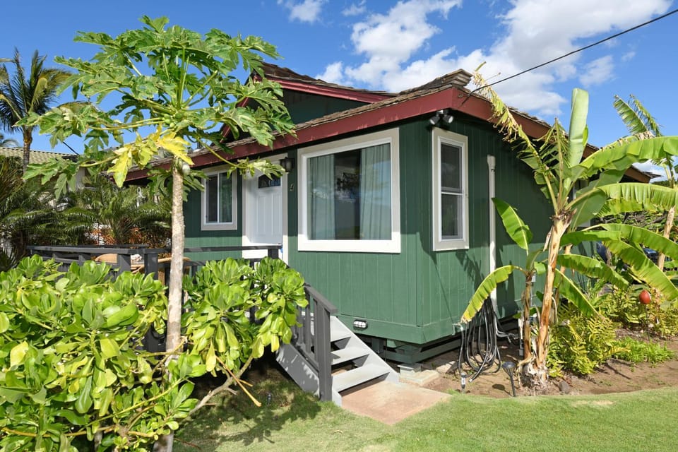 Garden view, Garden view