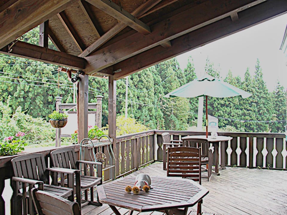 Balcony/Terrace