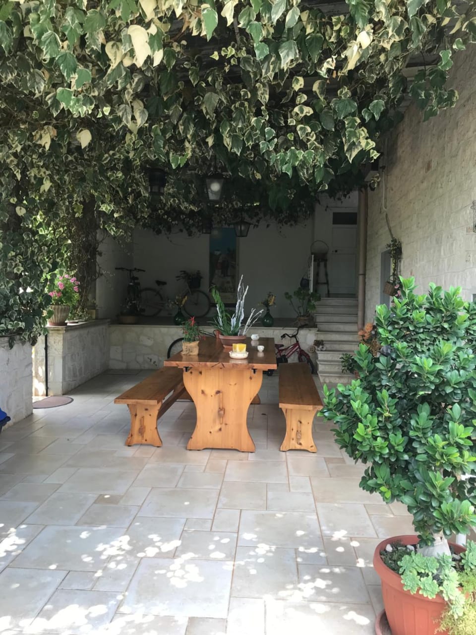 Garden view
