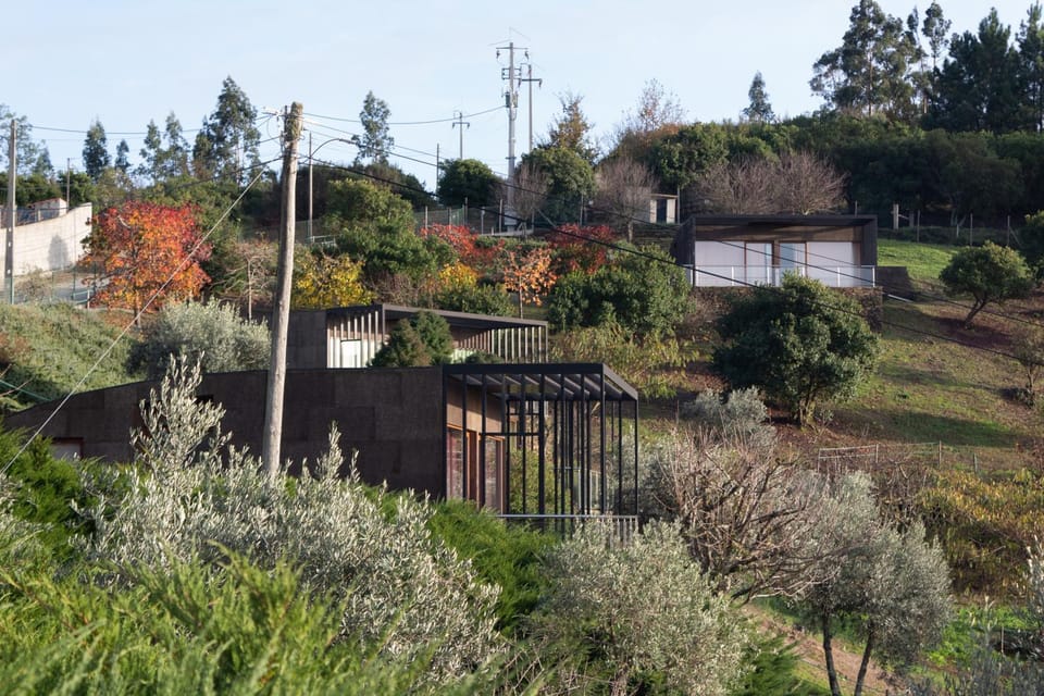 Property building, Day, Natural landscape, Garden, Garden view