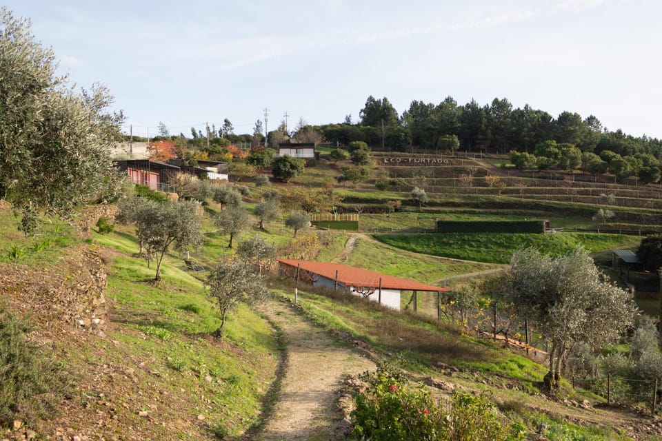 Property building, Natural landscape, Garden, Garden view